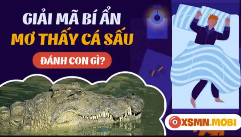 Cá sấu trong mơ có thể tượng trưng cho sức mạnh, sự cảnh giác, nỗi lo bị che giấu hoặc cảm giác thiếu an toàn.