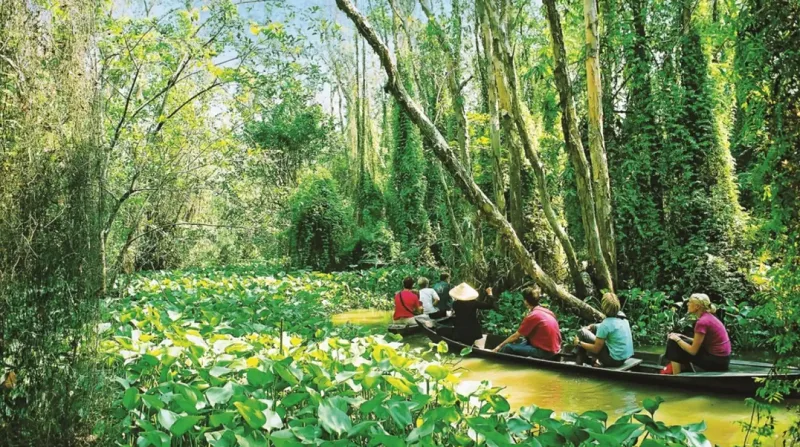 Những lưu ý khi khám phá Đồng Tháp
