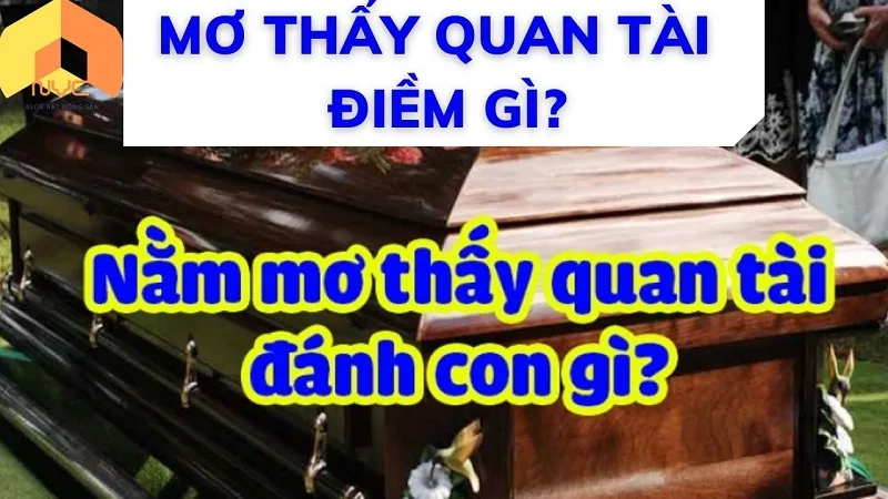 Mơ thấy quan tài đánh số mấy?